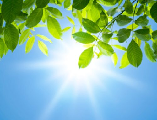 Sunshine For Healthy Teeth and Bones