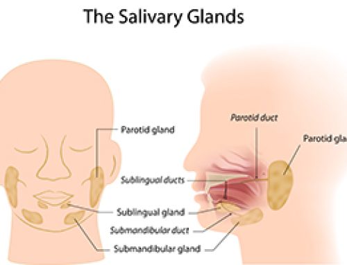 Saliva… Fantastic Fluid!