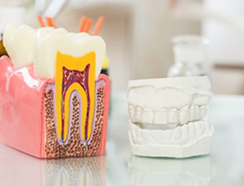 Facial Growth, Oral Health, and “Modern” Food